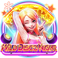 Wild Disco Night