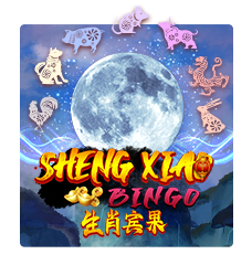 Sheng Xiao Bingo