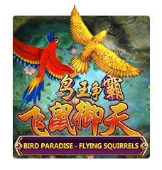 Bird Paradise