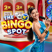 The Bingo Spot