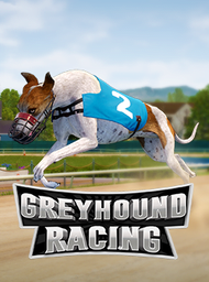 Greyhound Racing