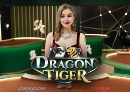 M Dragon Tiger